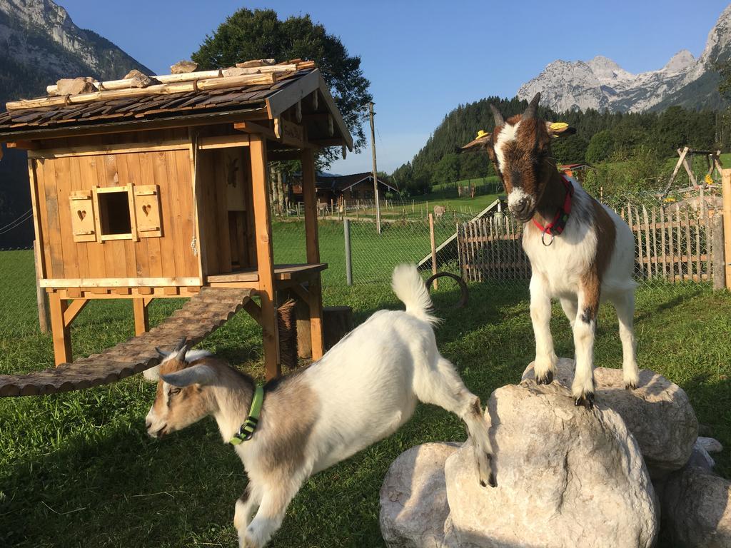 Vorderponholz Ferienwohnungen Ramsau bei Berchtesgaden Zewnętrze zdjęcie