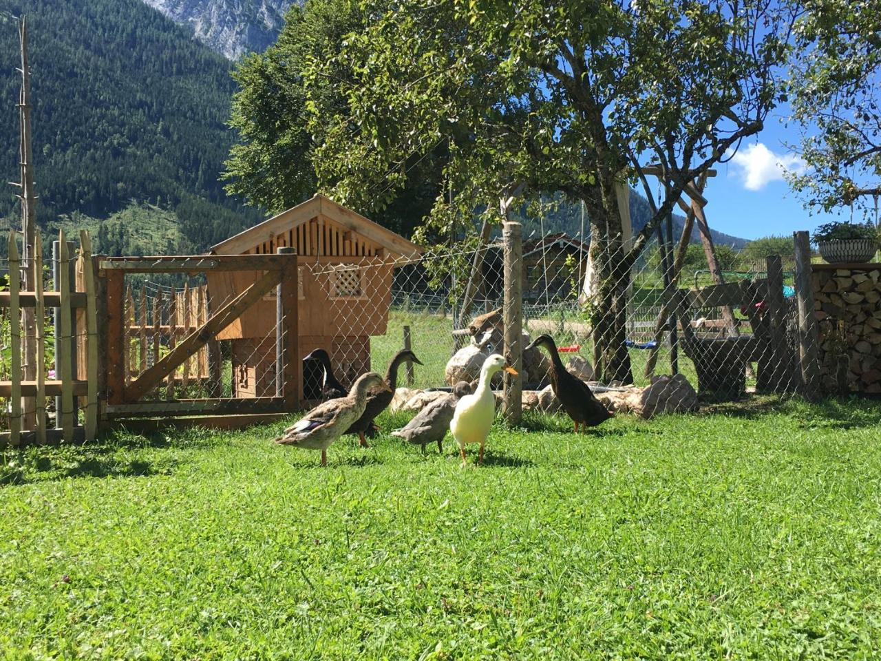 Vorderponholz Ferienwohnungen Ramsau bei Berchtesgaden Zewnętrze zdjęcie