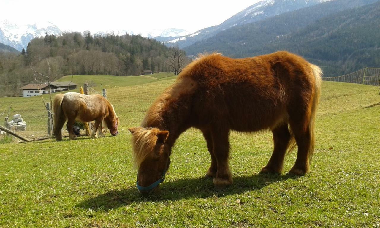 Vorderponholz Ferienwohnungen Ramsau bei Berchtesgaden Zewnętrze zdjęcie