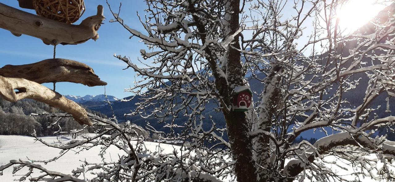 Vorderponholz Ferienwohnungen Ramsau bei Berchtesgaden Zewnętrze zdjęcie